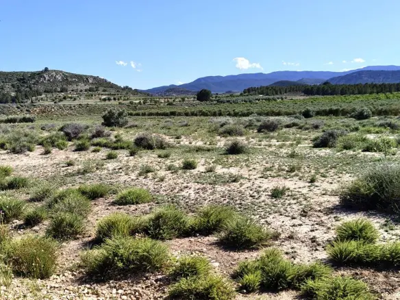 Country Land 0 M² In Villena, Spain