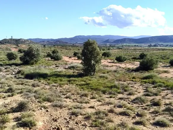 Country Land 0 M² In Villena, Spain