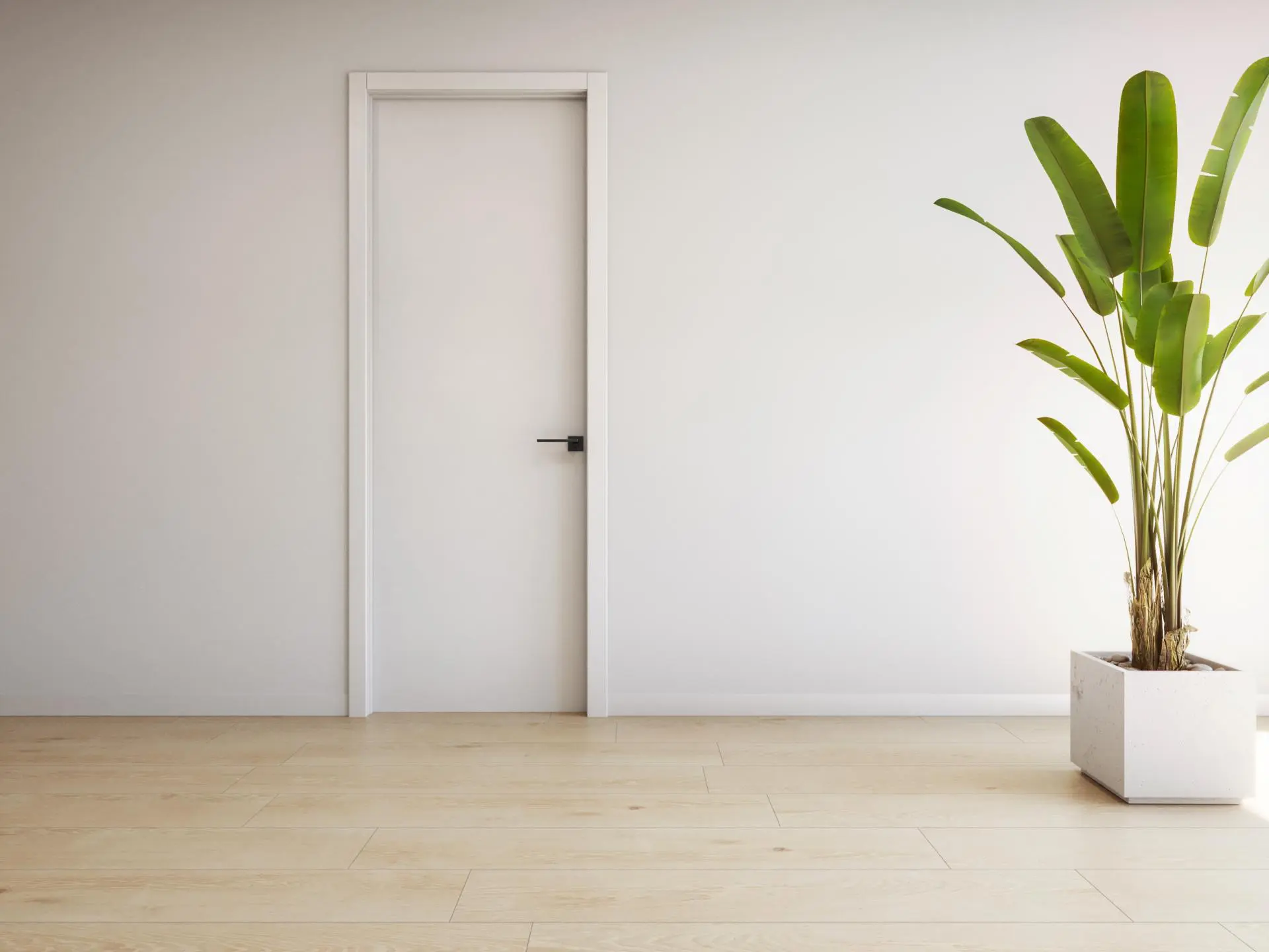Apartment Of 68 M² In Torrevieja, Spain