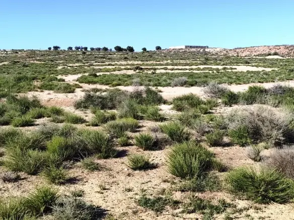 Country Land 0 M² In Villena, Spain