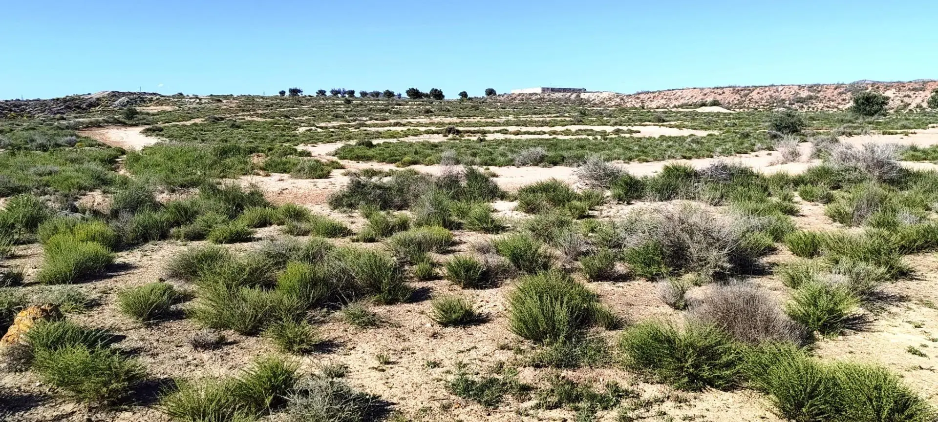 Country Land 0 M² In Villena, Spain