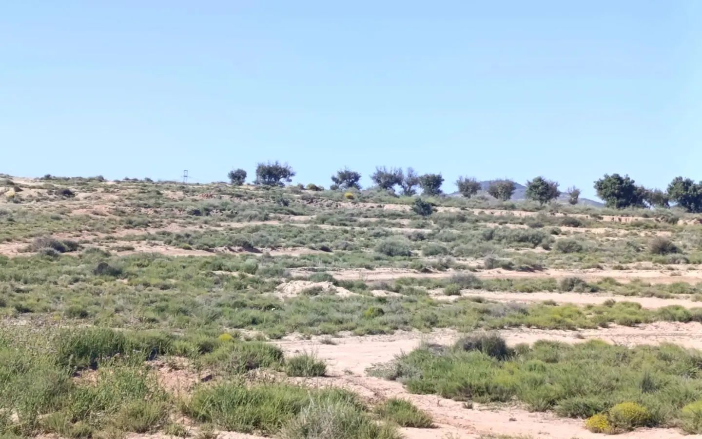 Country Land Of 0 M² In Villena, Spain
