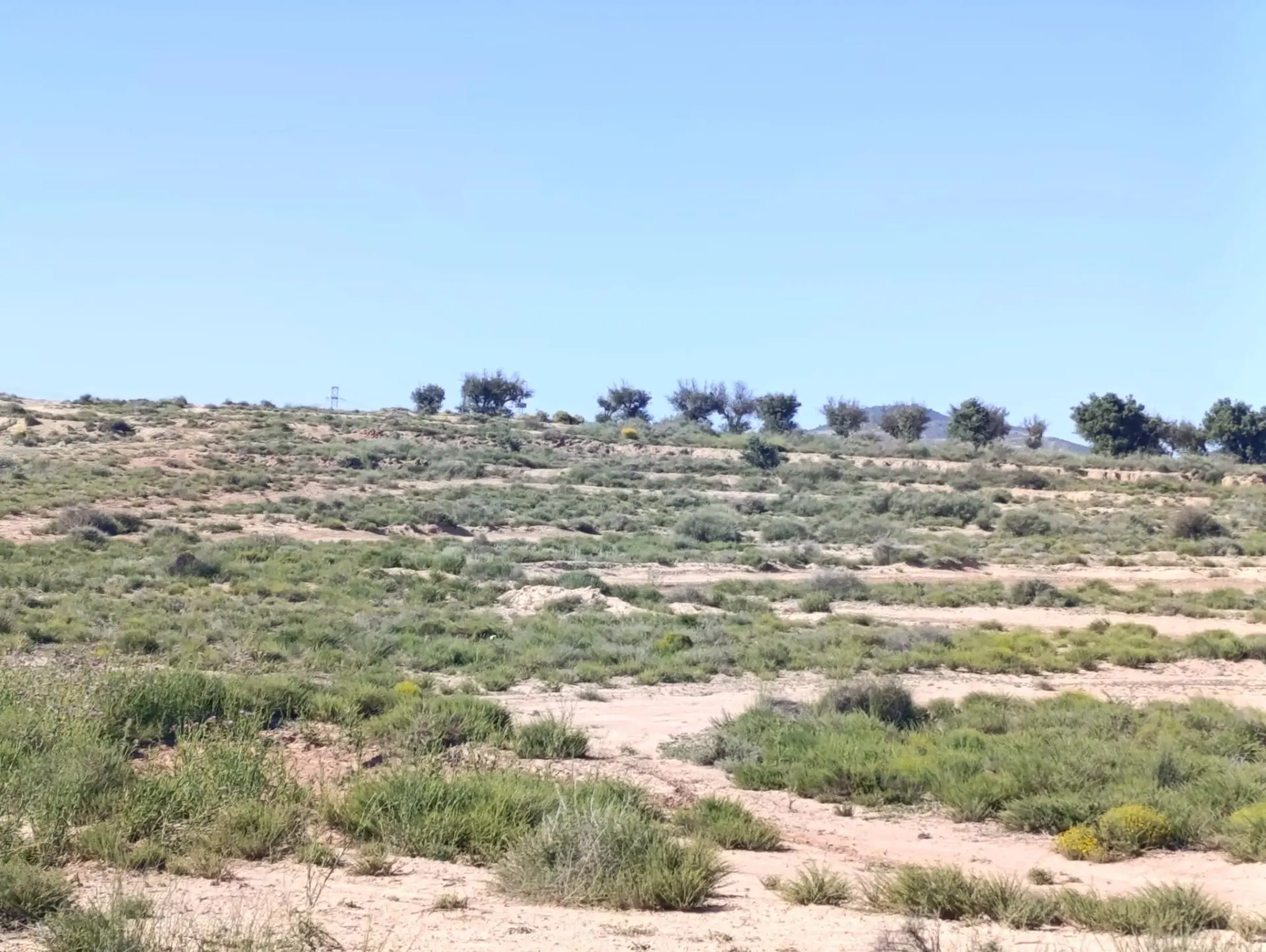 Country Land 0 M² In Villena, Spain