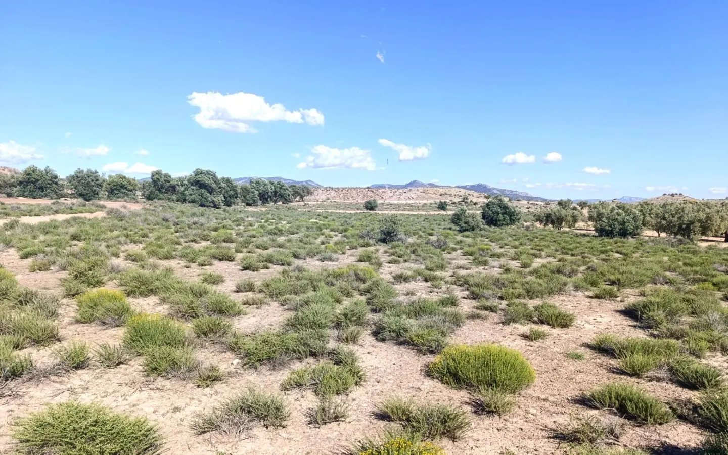 Country Land Of 0 M² In Villena, Spain