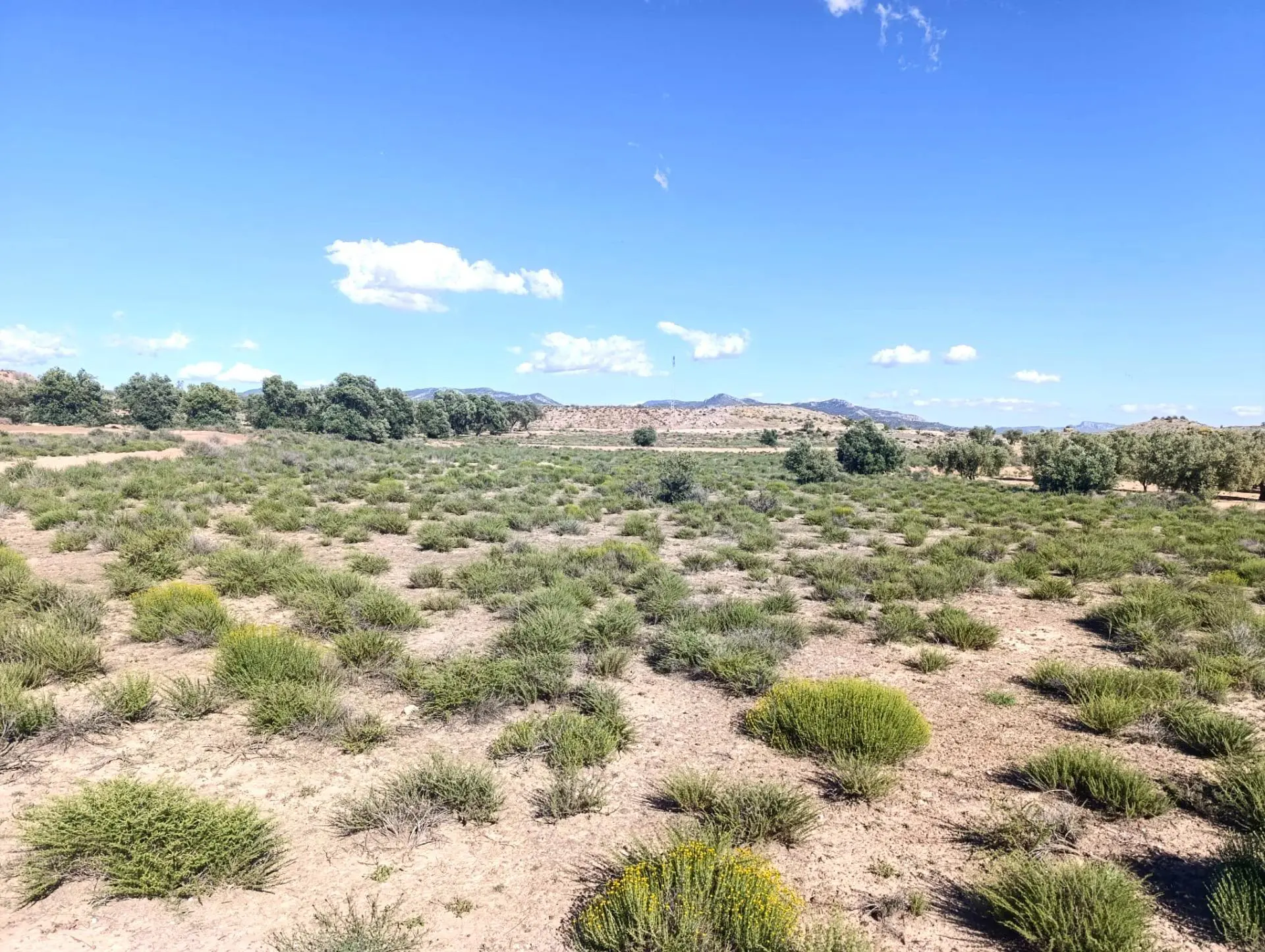 Country Land 0 M² In Villena, Spain