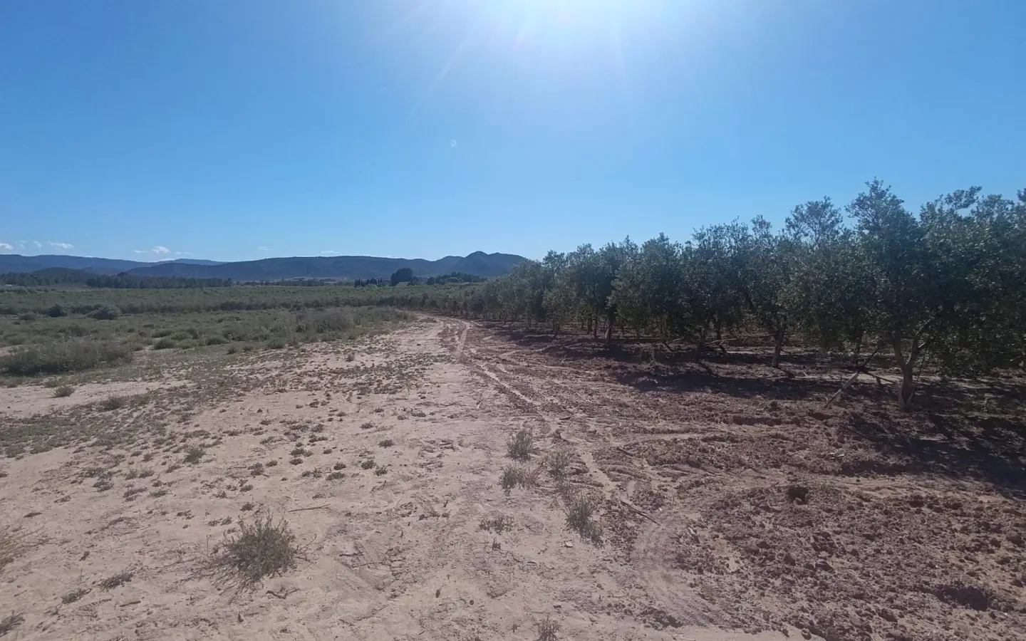 Country Land Of 0 M² In Villena, Spain