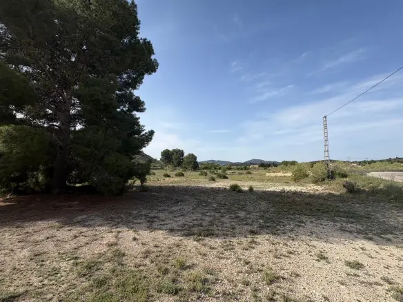 Country Land 0 M² In Monovar – Monover, Spain