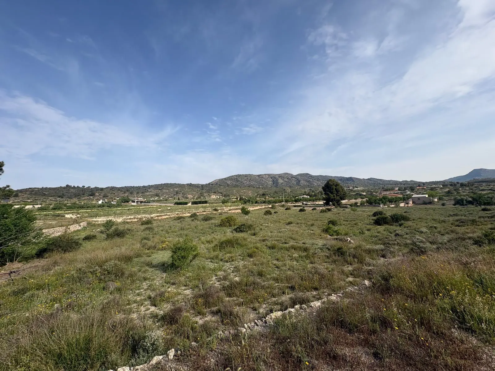 Country Land 0 M² In Monovar – Monover, Spain
