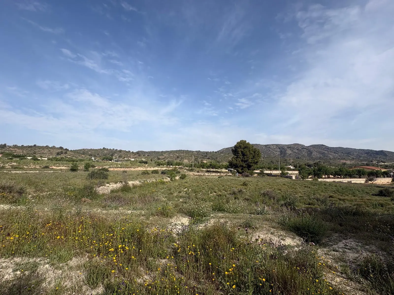 Country Land 0 M² In Monovar – Monover, Spain