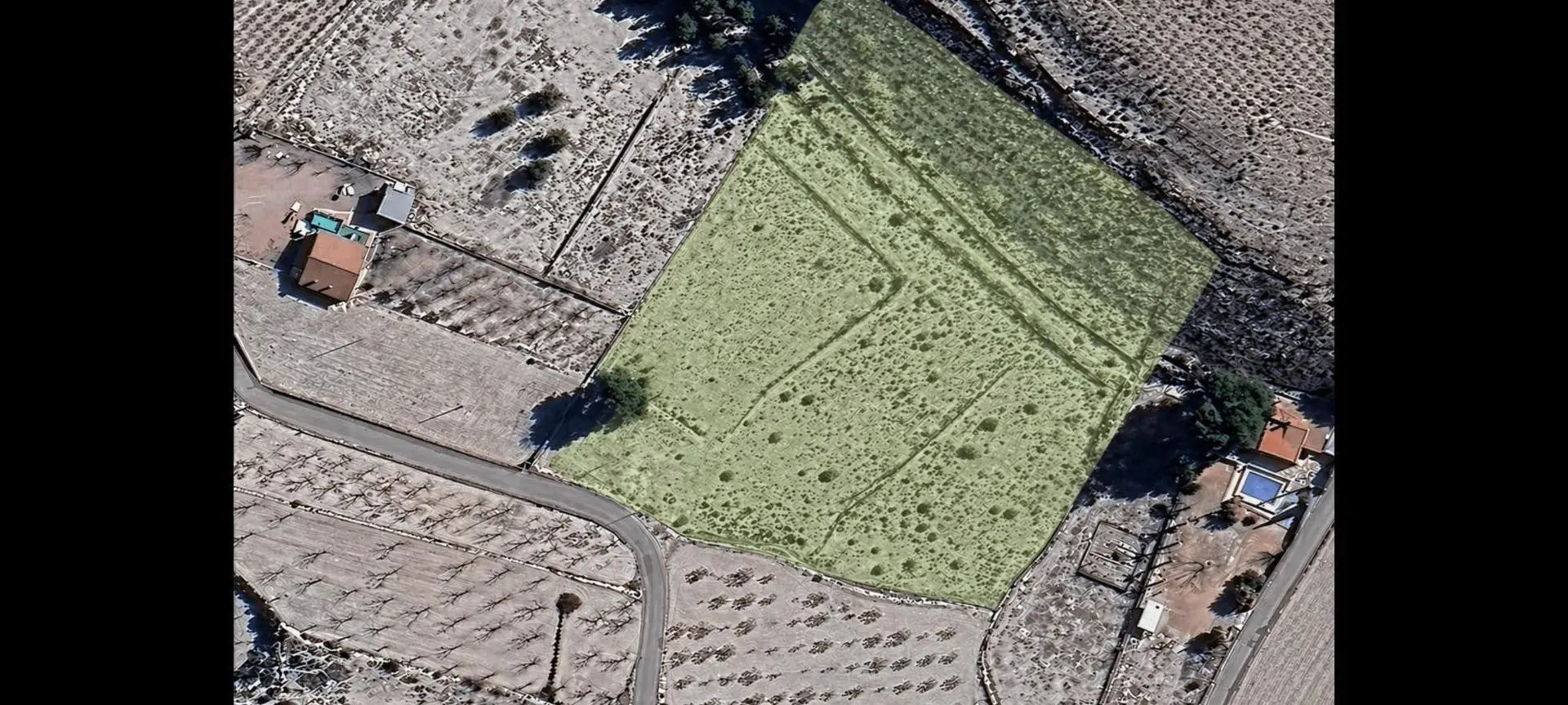 Country Land 0 M² In Monovar – Monover, Spain