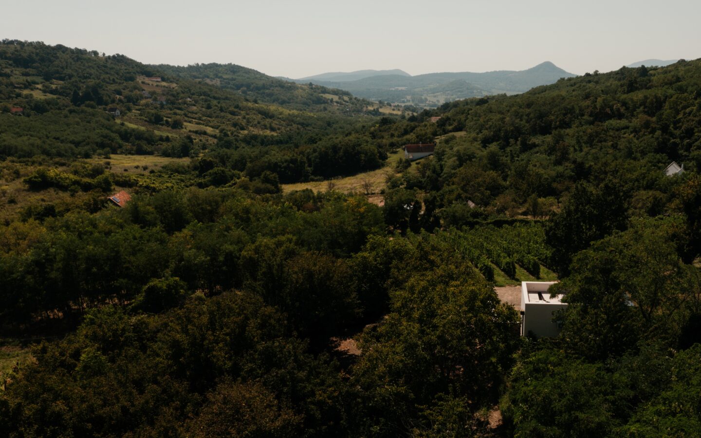 SazÜ Estate – Off-grid Lifestyle Brand & Vineyard Retreat At Lake Balaton Https://www.sazubalaton.com