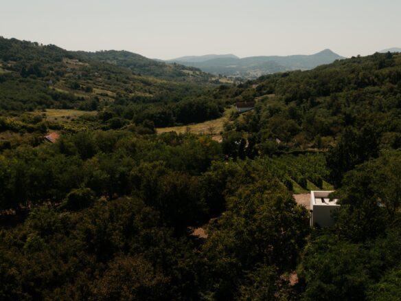 SazÜ Estate – Off-grid Lifestyle Brand & Vineyard Retreat At Lake Balaton Https://www.sazubalaton.com