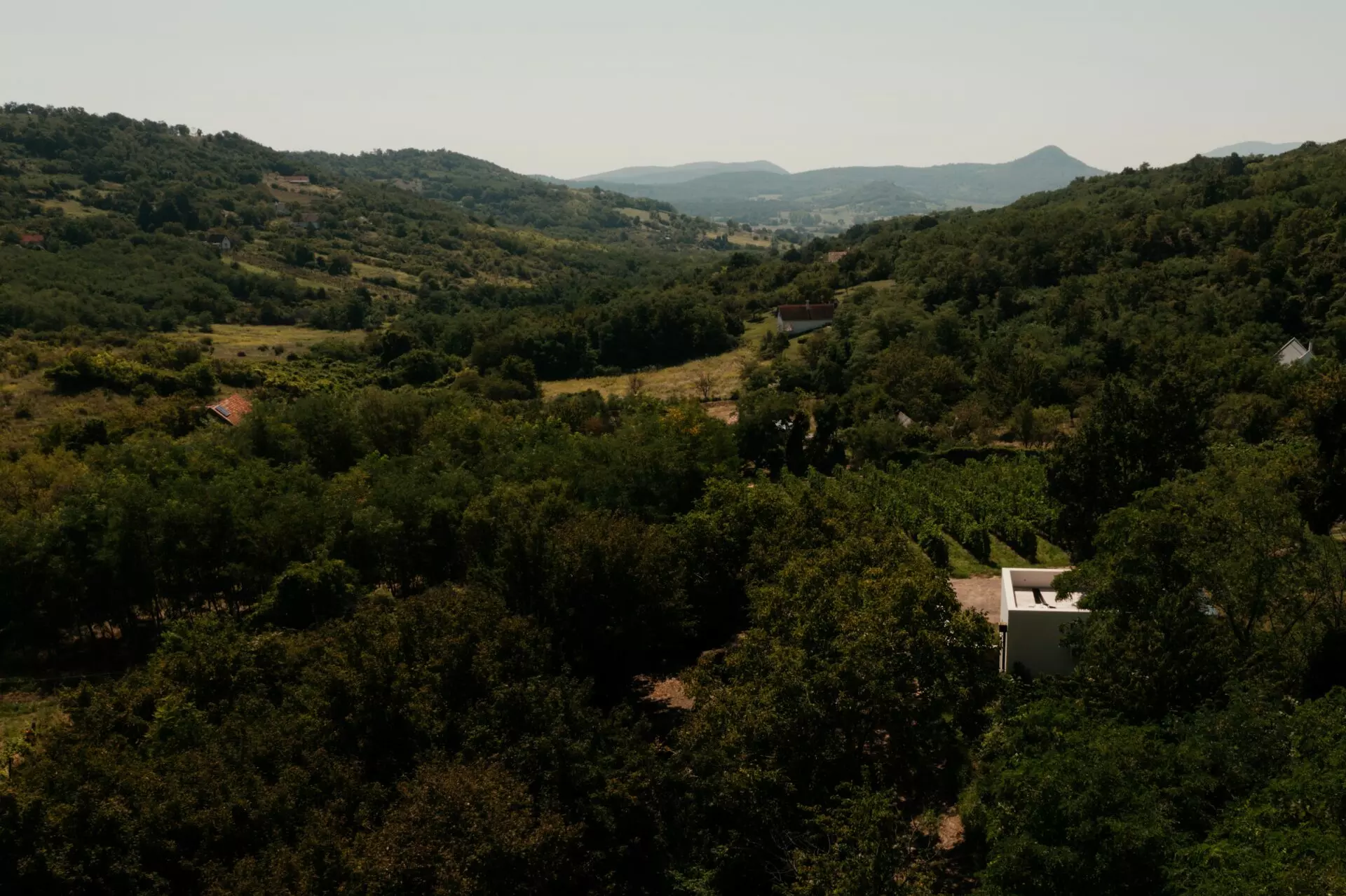 Vineyard Retreat Of 0 M² With Lake Balaton In SazÜ Estate