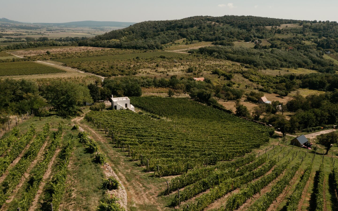SazÜ Estate – Off-grid Lifestyle Brand & Vineyard Retreat At Lake Balaton Https://www.sazubalaton.com