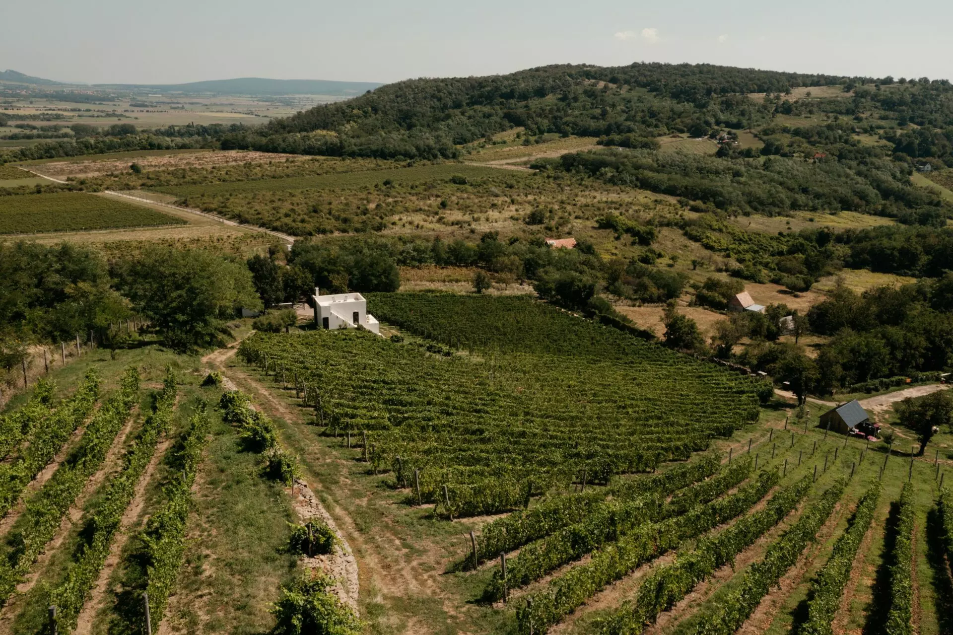 Vineyard Retreat Of 0 M² With Lake Balaton In SazÜ Estate