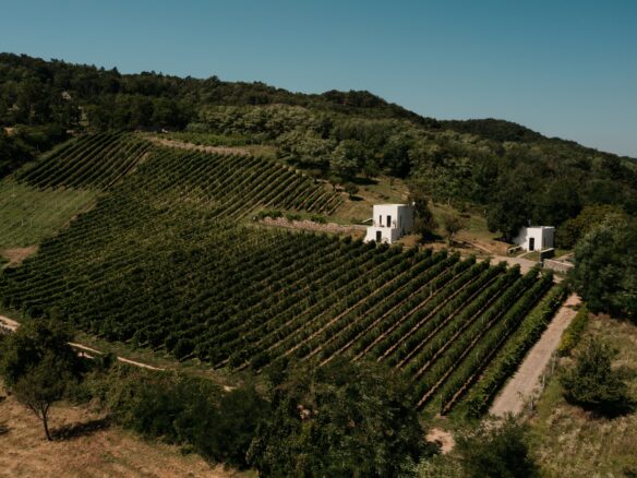 SazÜ Estate – Off-grid Lifestyle Brand & Vineyard Retreat At Lake Balaton Https://www.sazubalaton.com