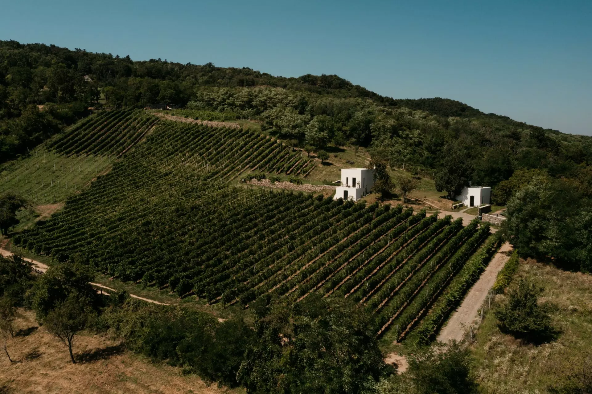 Vineyard Retreat Of 0 M² With Lake Balaton In SazÜ Estate