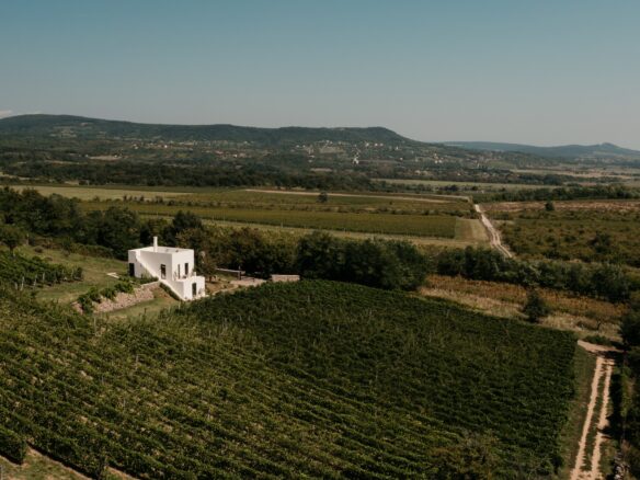 SazÜ Estate – Off-grid Lifestyle Brand & Vineyard Retreat At Lake Balaton Https://www.sazubalaton.com
