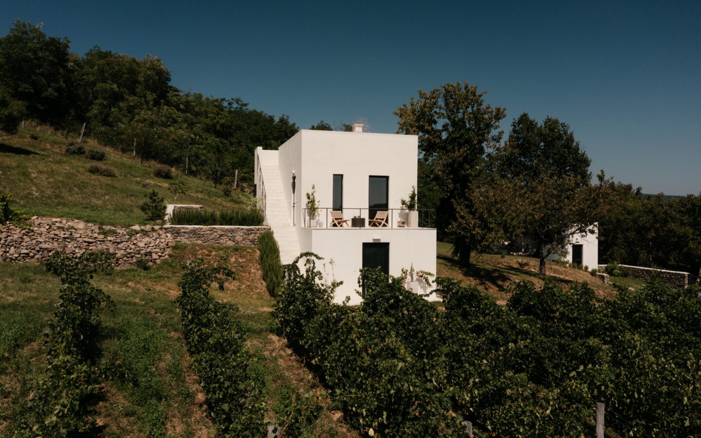 SazÜ Estate – Off-grid Lifestyle Brand & Vineyard Retreat At Lake Balaton Https://www.sazubalaton.com