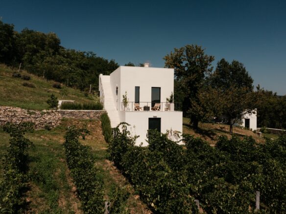 SazÜ Estate – Off-grid Lifestyle Brand & Vineyard Retreat At Lake Balaton Https://www.sazubalaton.com