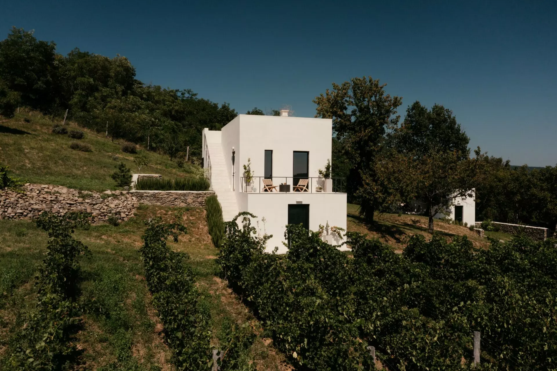 Vineyard Retreat Of 0 M² With Lake Balaton In SazÜ Estate