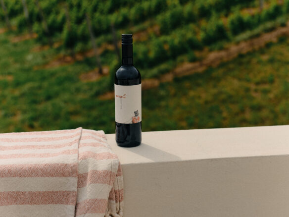 SazÜ Estate – Off-grid Lifestyle Brand & Vineyard Retreat At Lake Balaton Https://www.sazubalaton.com