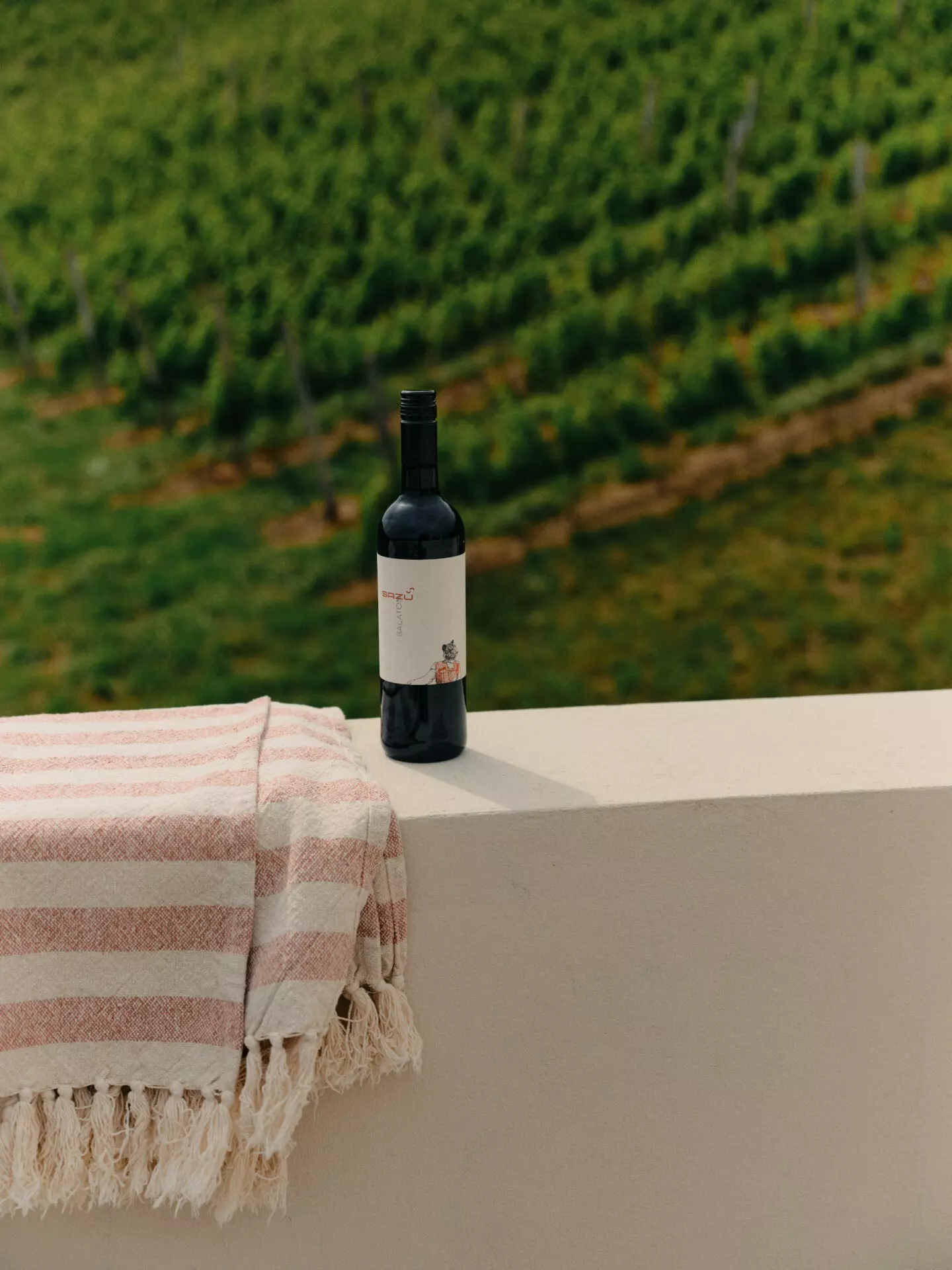 Vineyard Retreat Of 0 M² With Lake Balaton In SazÜ Estate