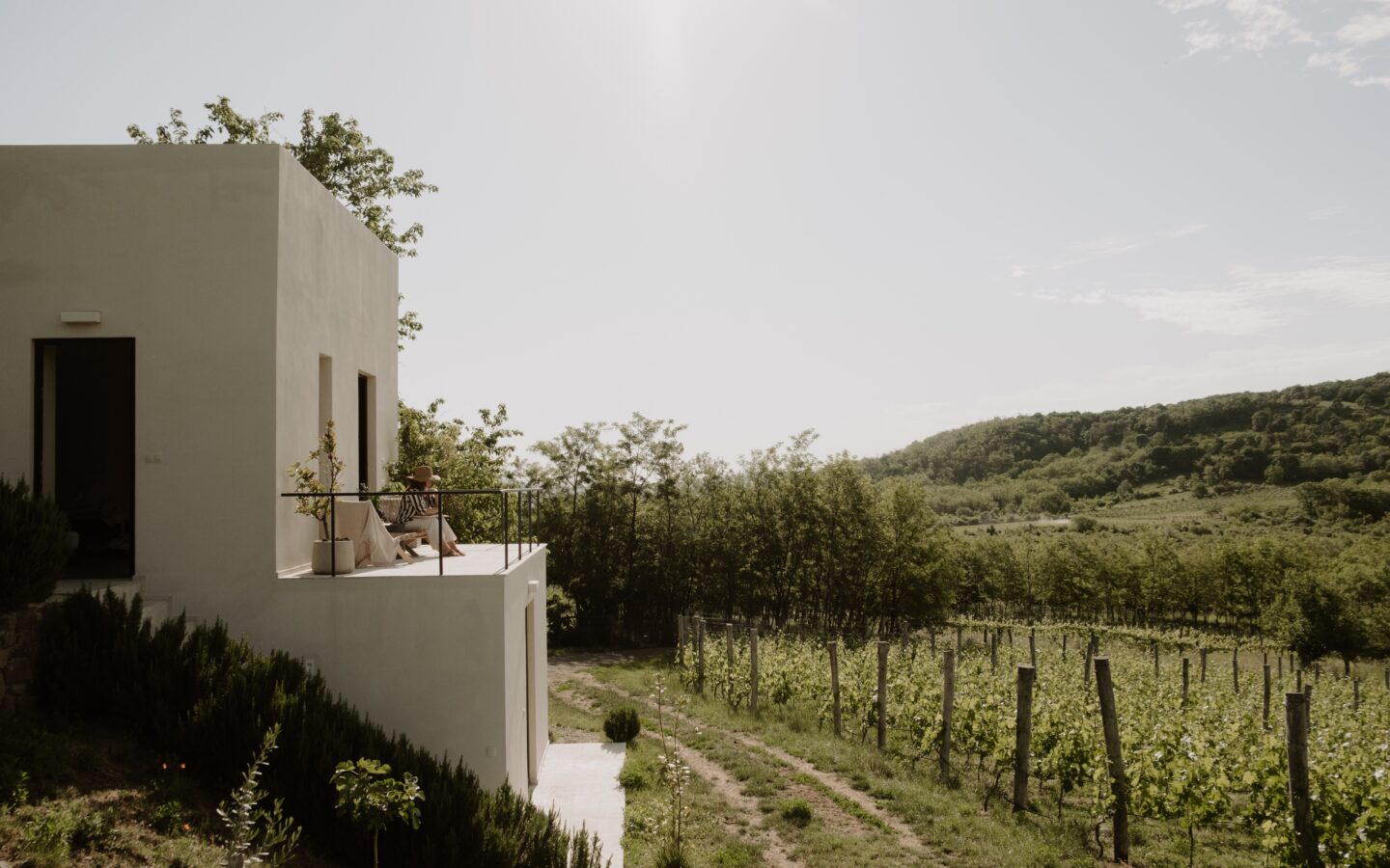 SazÜ Estate – Off-grid Lifestyle Brand & Vineyard Retreat At Lake Balaton Https://www.sazubalaton.com