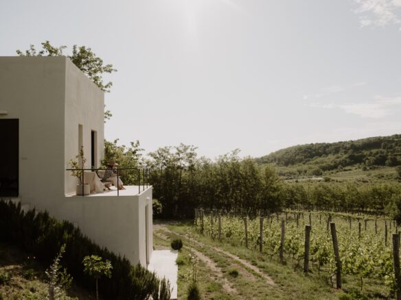 SazÜ Estate – Off-grid Lifestyle Brand & Vineyard Retreat At Lake Balaton Https://www.sazubalaton.com