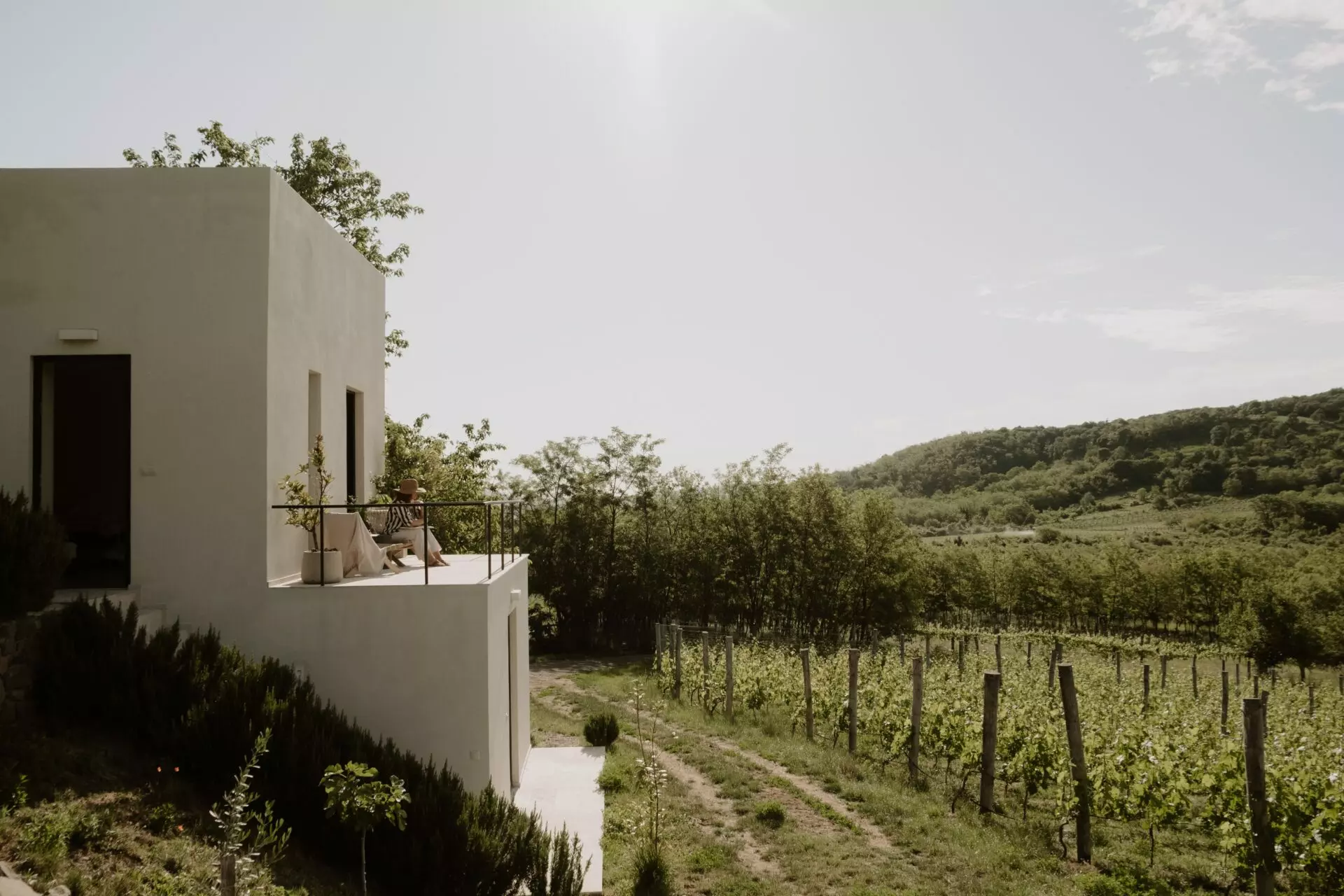 Vineyard Retreat Of 0 M² With Lake Balaton In SazÜ Estate