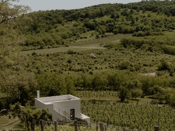 SazÜ Estate – Off-grid Lifestyle Brand & Vineyard Retreat At Lake Balaton Https://www.sazubalaton.com
