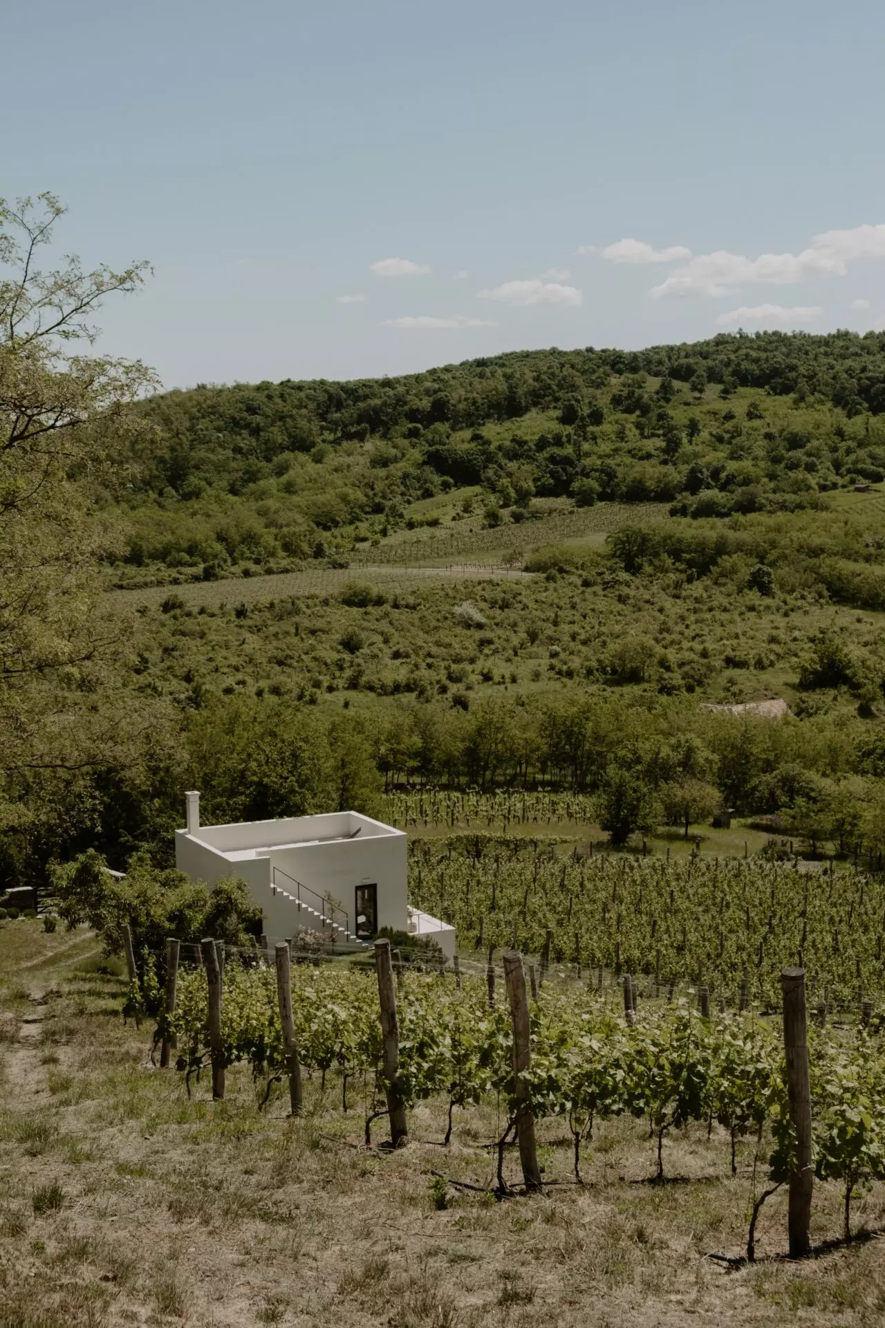 Vineyard Retreat Of 0 M² With Lake Balaton In SazÜ Estate