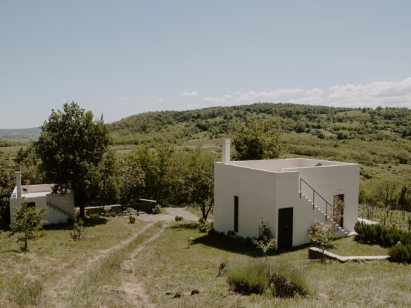 SazÜ Estate – Off-grid Lifestyle Brand & Vineyard Retreat At Lake Balaton Https://www.sazubalaton.com