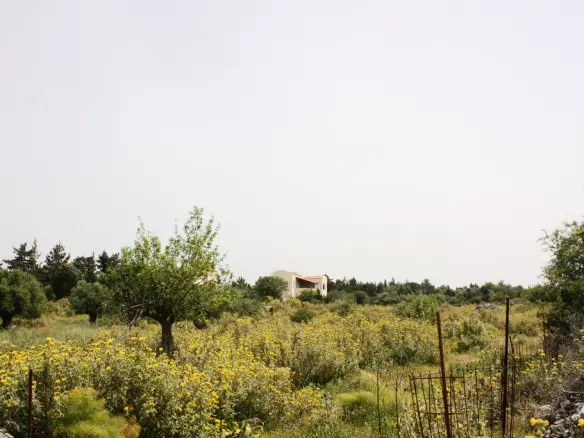 Land Of 4200 M² In Crete