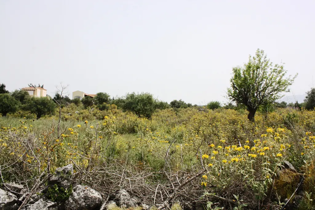 Land Of 4200 M² In Crete