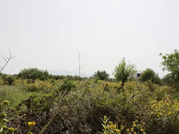 Land In Vamos, Greece