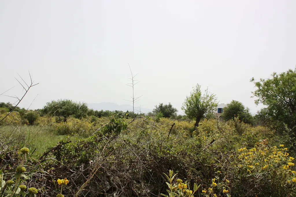 Land Of 4200 M² In Crete