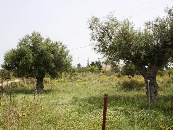 Land In Vamos, Greece