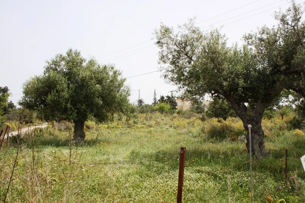 Land Of 4200 M² In Crete