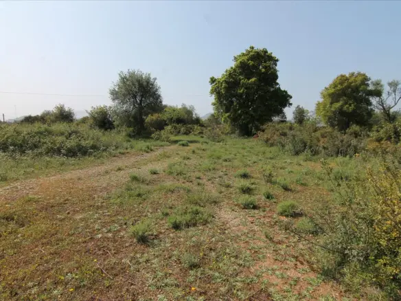 Land Of 6500 M² In Corfu