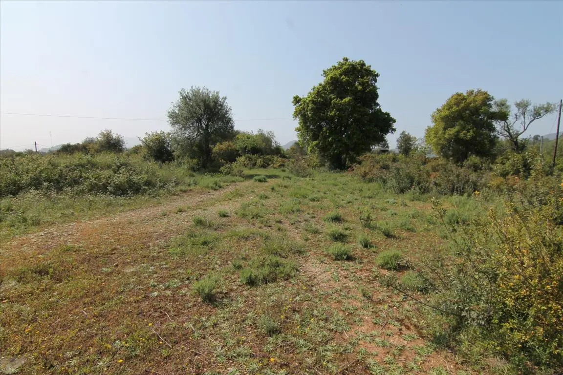 Land Of 6500 M² In Corfu