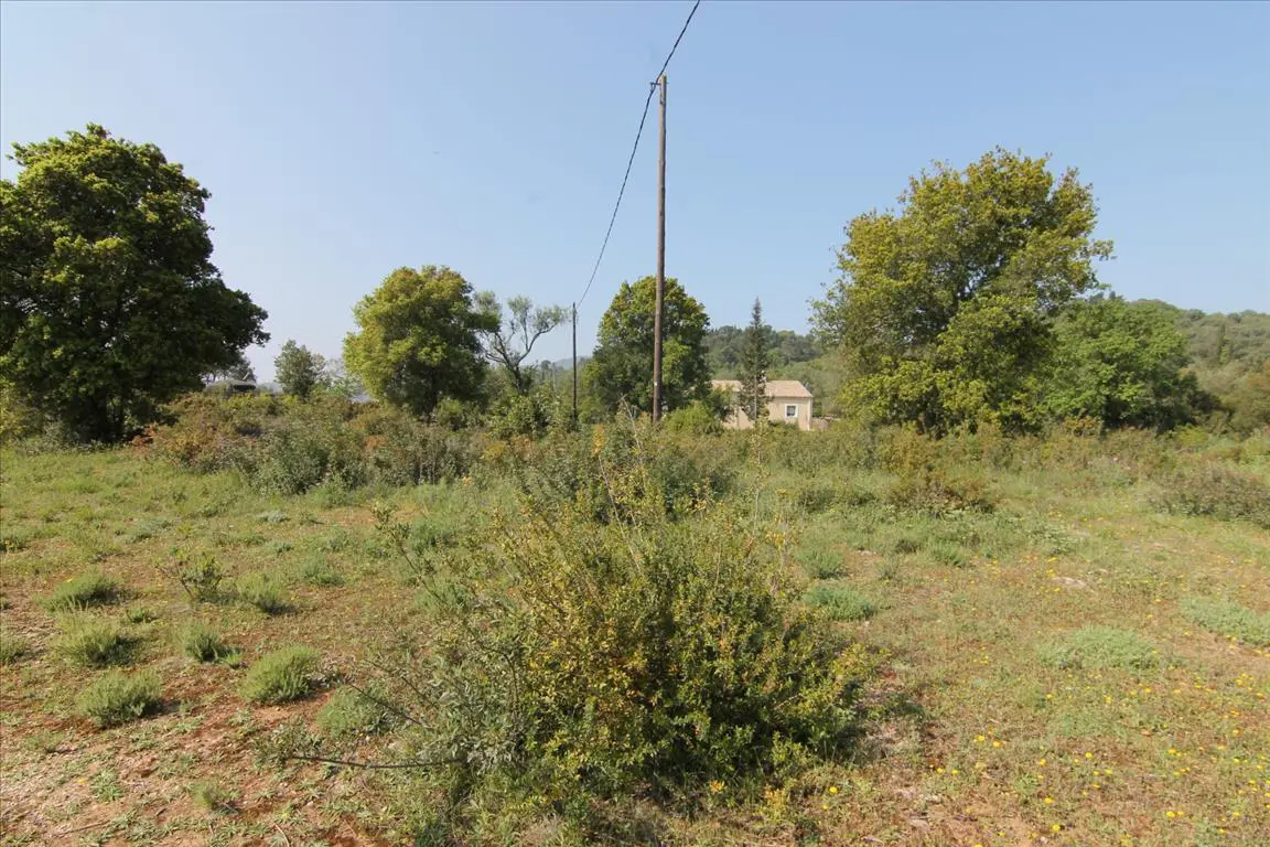 Land Of 6500 M² In Corfu