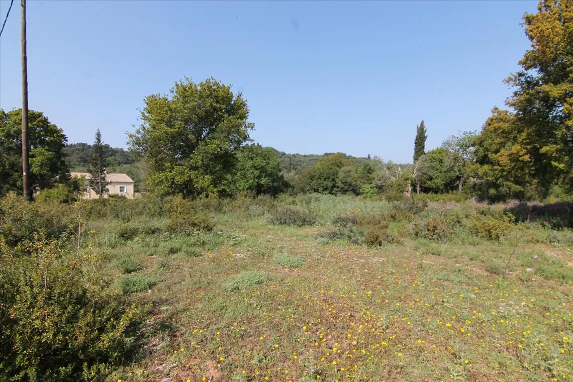 Land Of 6500 M² In Corfu