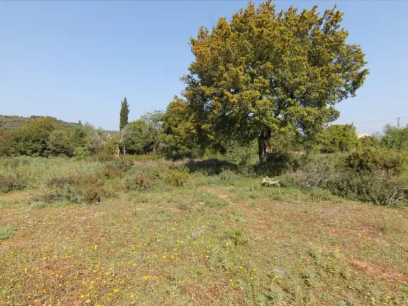 Land In Corfu, Greece