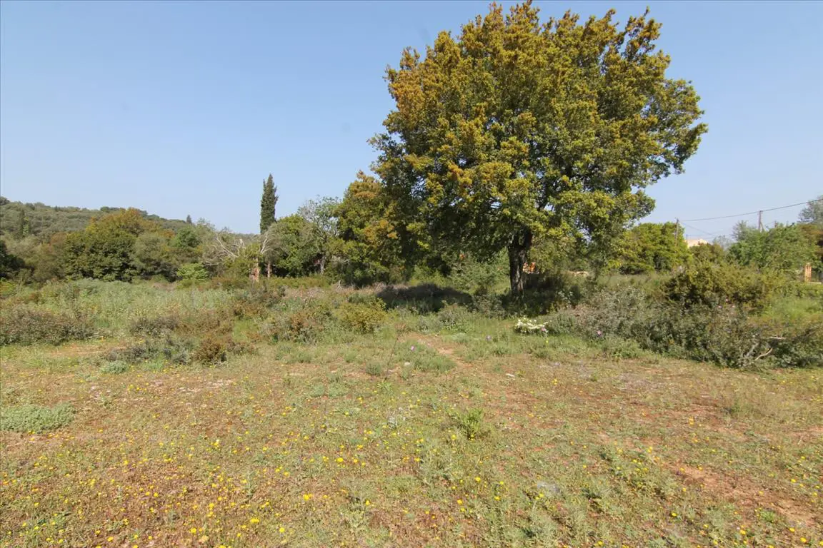Land Of 6500 M² In Corfu