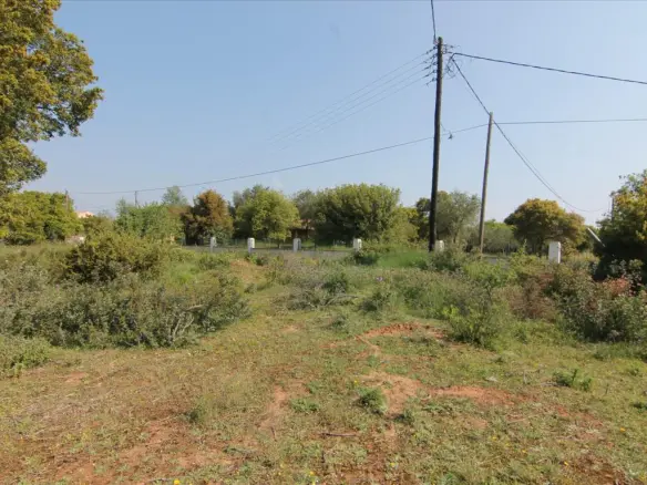 Land In Corfu, Greece
