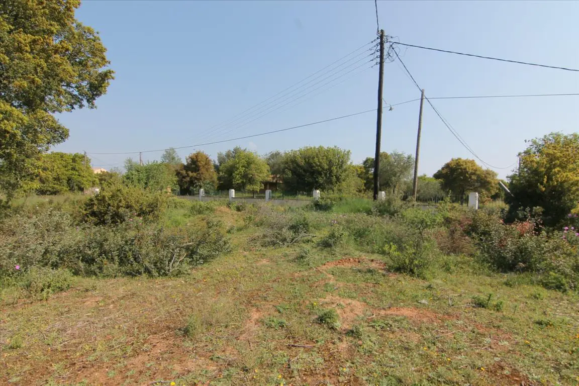 Land Of 6500 M² In Corfu
