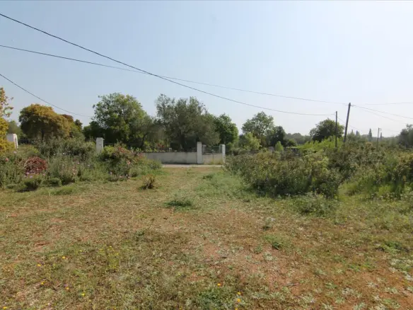 Land In Corfu, Greece