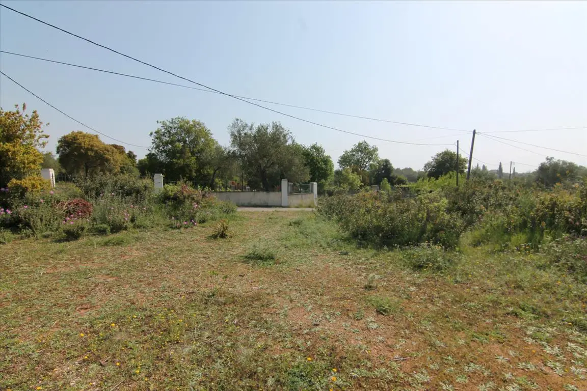 Land Of 6500 M² In Corfu