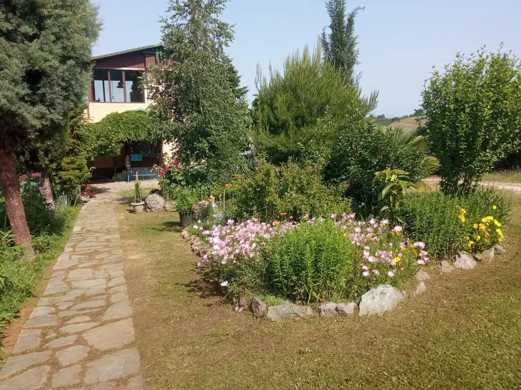Detached House Of 240 M² In The Suburbs Of Thessaloniki